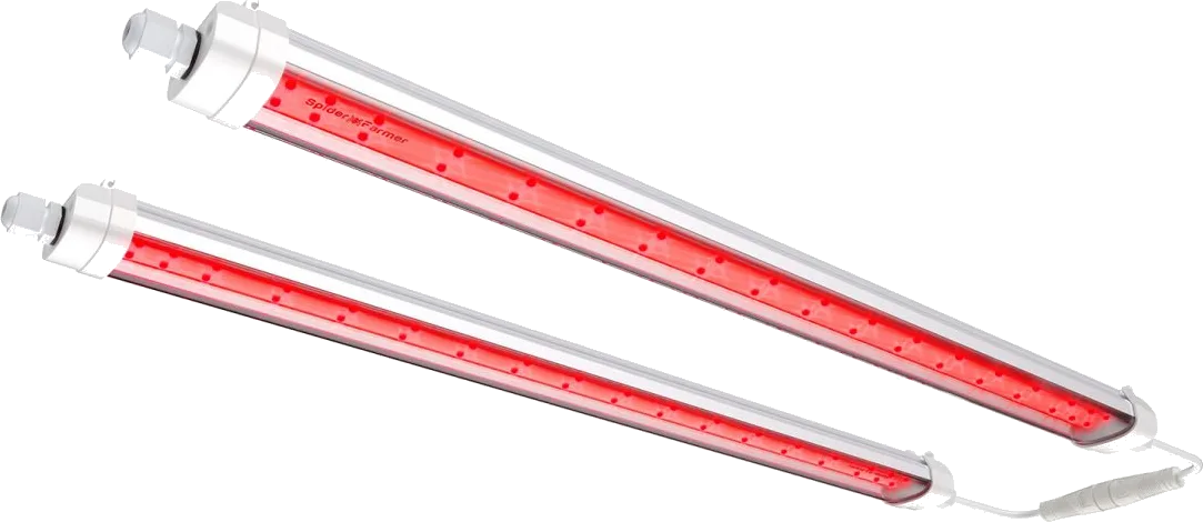 Glow Rojo 660 nm — 40 W