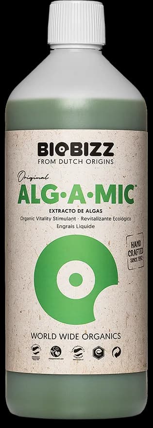 Alg·A·Mic